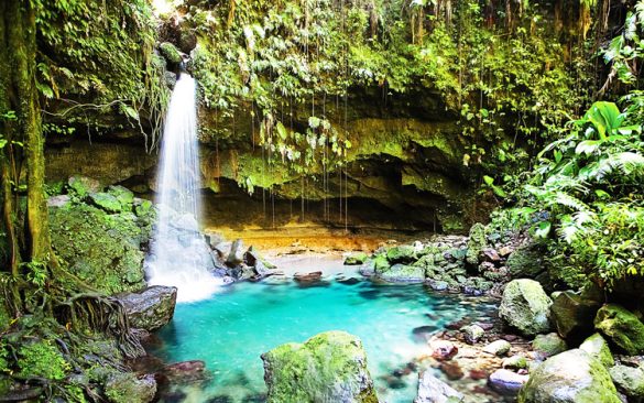 Waterfall in the Daintree Rainforest