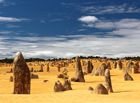Pinnacles desert near Cervantes