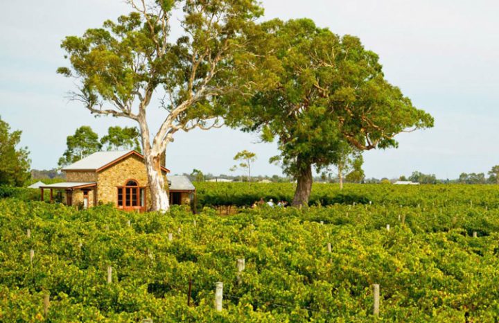 Coonawarra Wine Region