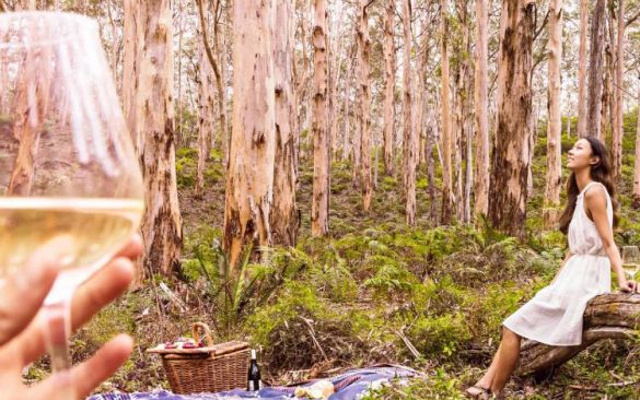 Margaret River Wines
