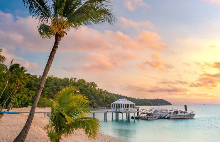 Orpheus Island
