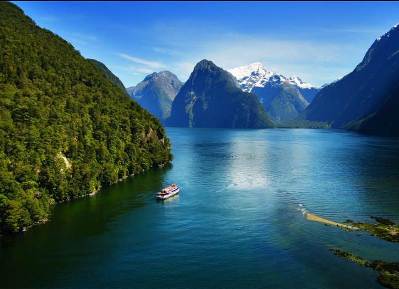 Milford Sound Haven Cruise