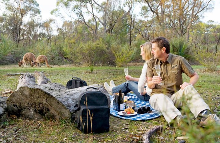 The Louise Activities