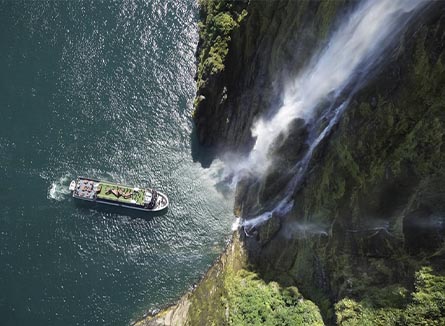 Take a cruise on the Haven at Milford Sound