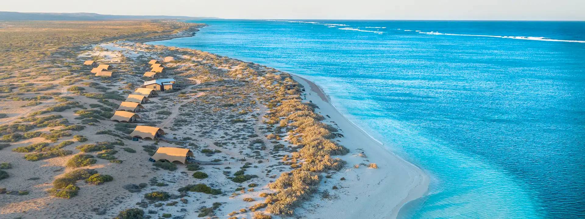 sal salis ningaloo reef