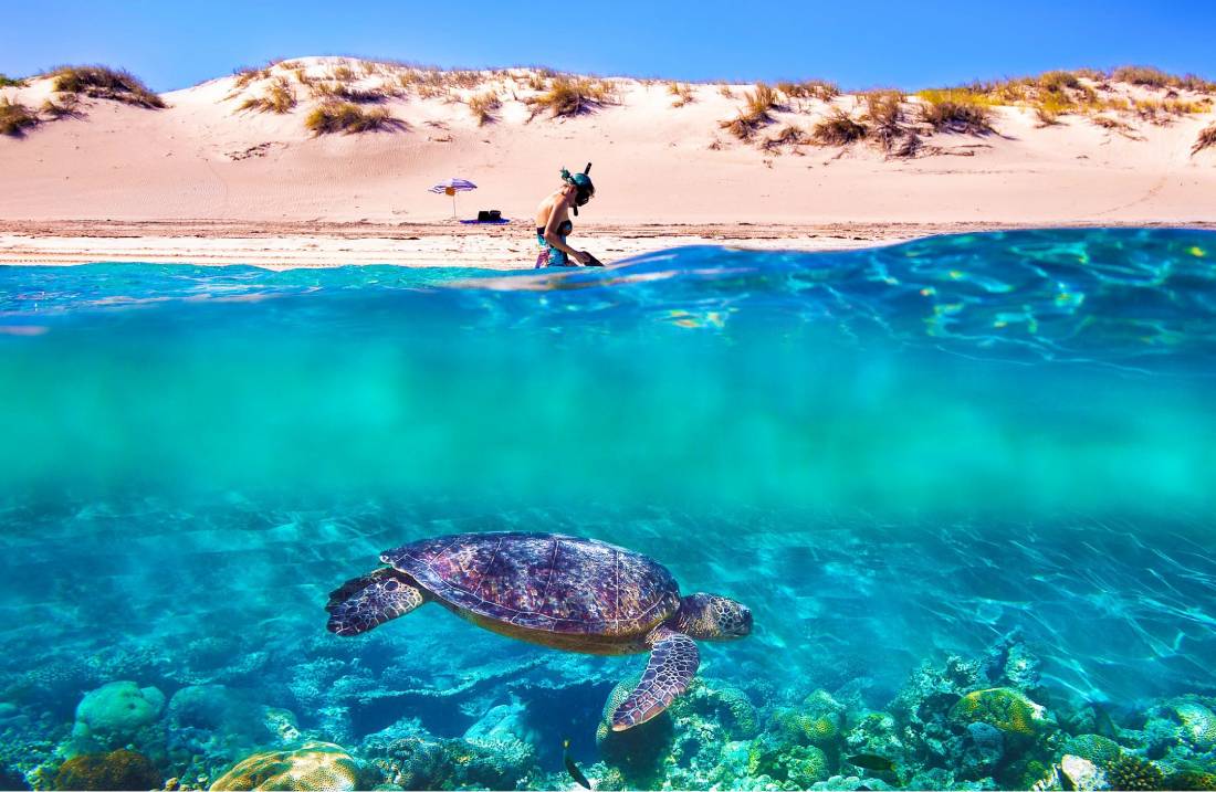 Ningaloo Reef Snorkel