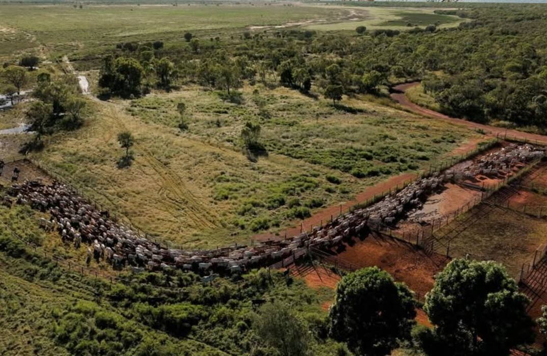 Bullo River Station Stay