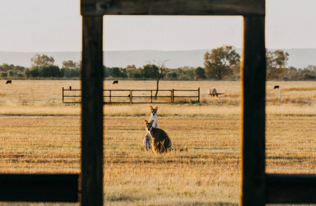 Bullo River Station Stay