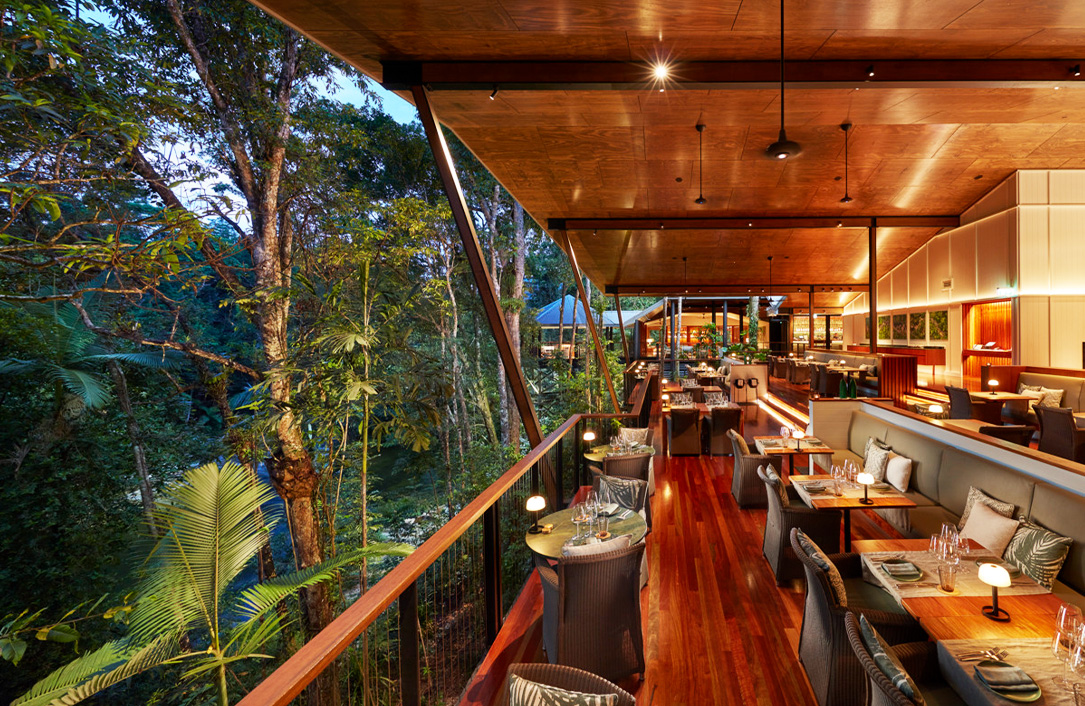 Silky Oaks Lodge in the Daintree