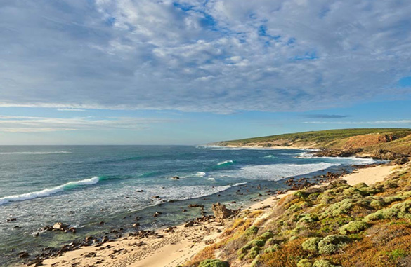 Cape Lodge day tours and activities