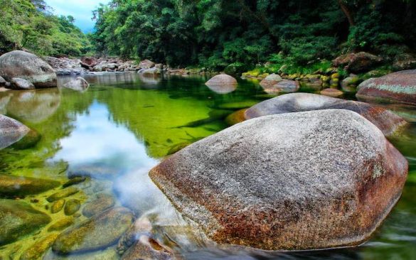 Daintree Forest