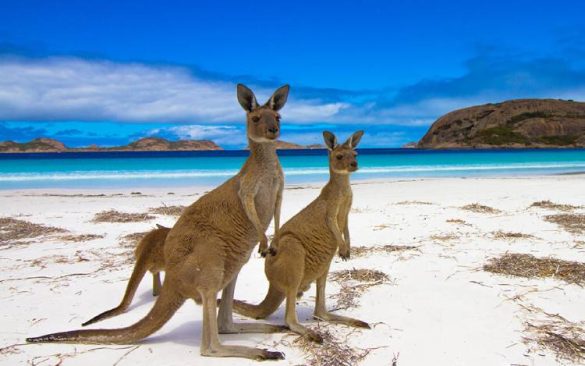 Kangaroo Island