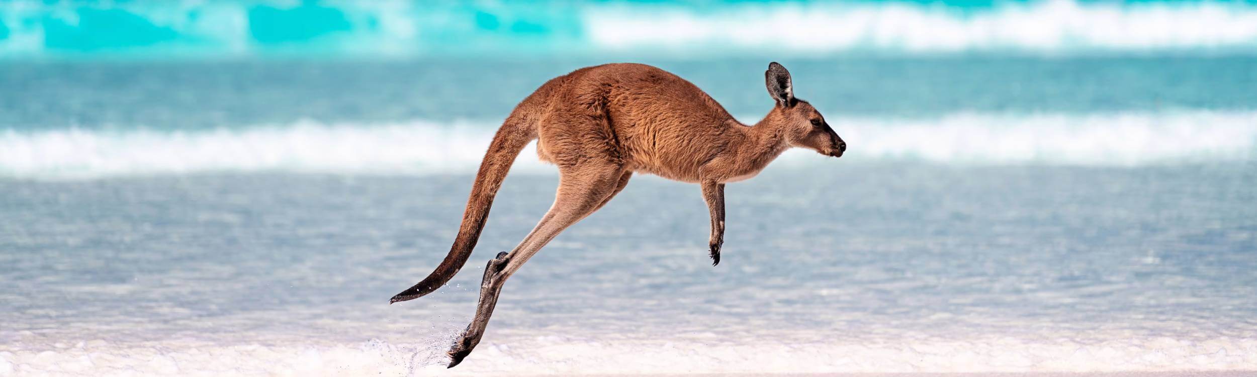 Kangeroo Island