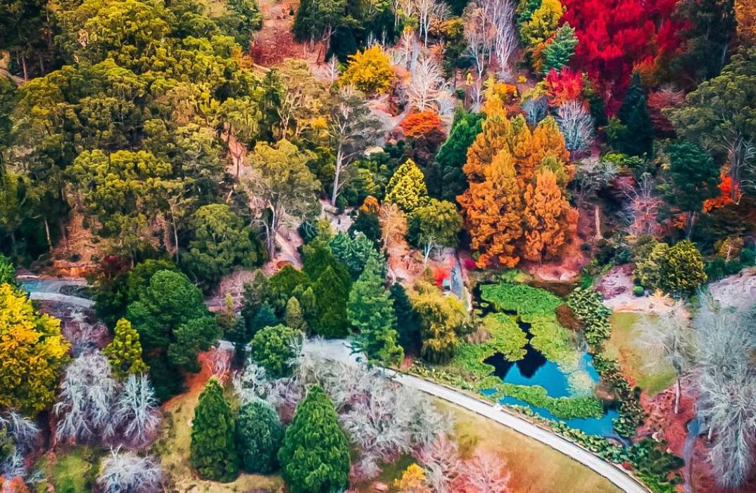 Mount Lofty Botanic Gardens