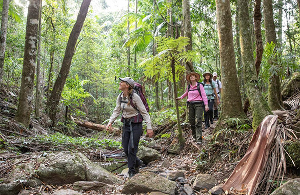 Scenic Rim Multi Day Hikes