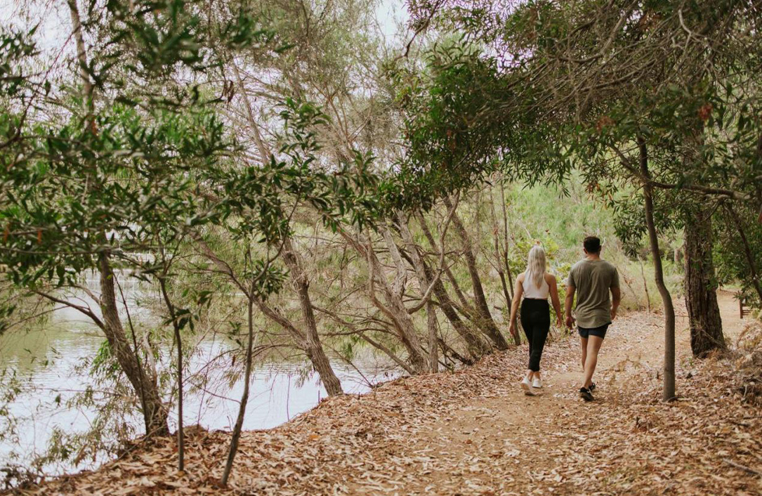 Cape Lodge Experiences