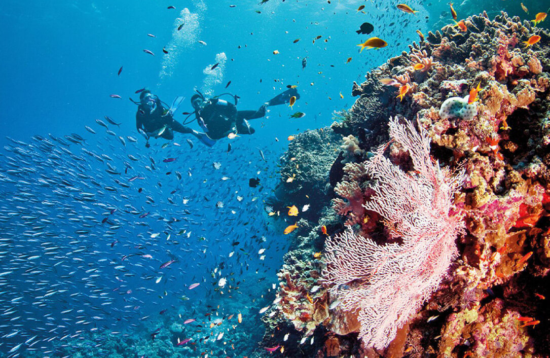 Activities Bedarra Island Resort