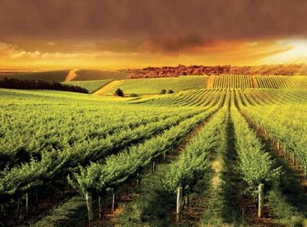 Adelaide Hills