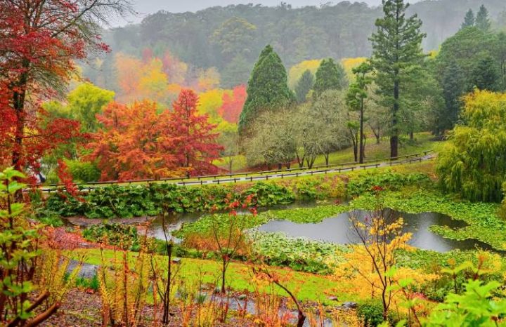 Adelaide Hills