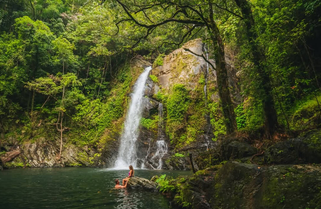 Daintree Ecolodge