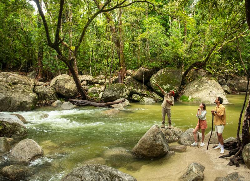 Daintree Tours