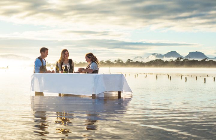 Oysters and wine