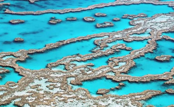 Southern Great Barrier Reef