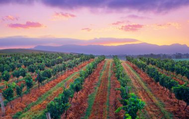 Hunter Valley