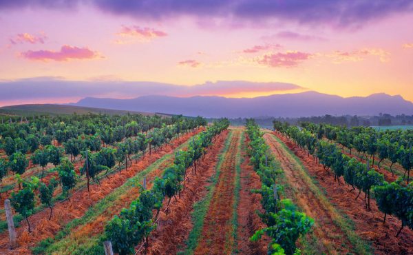 Hunter Valley
