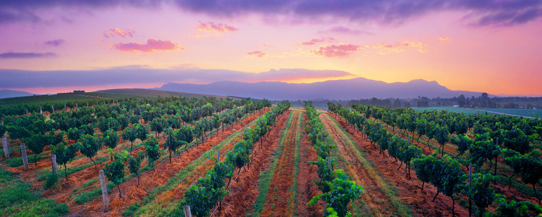 Hunter Valley
