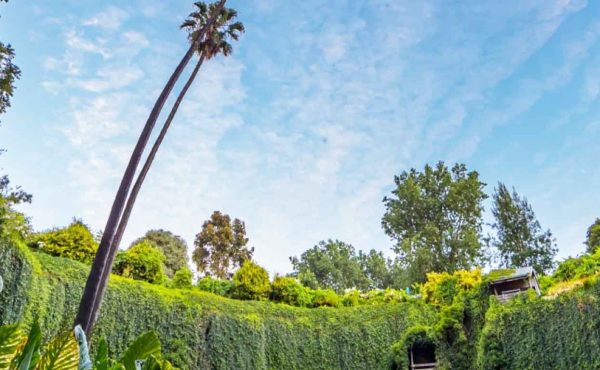 Umpherston Sinkhole Mount Gambier