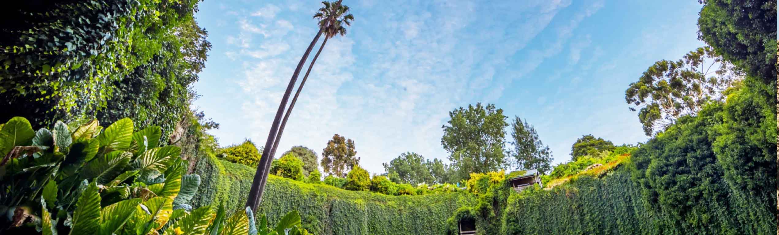 Umpherston Sinkhole Mount Gambier