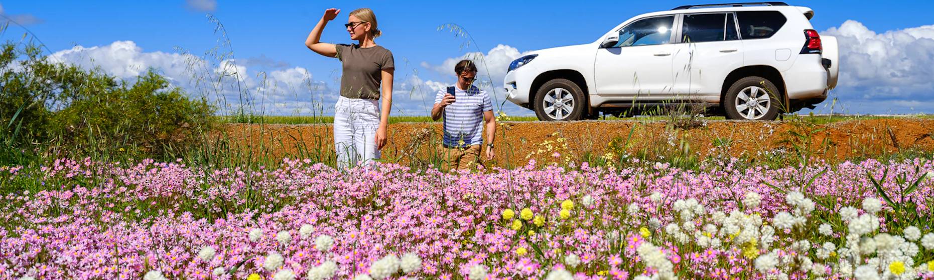 Wild Flowers Australia