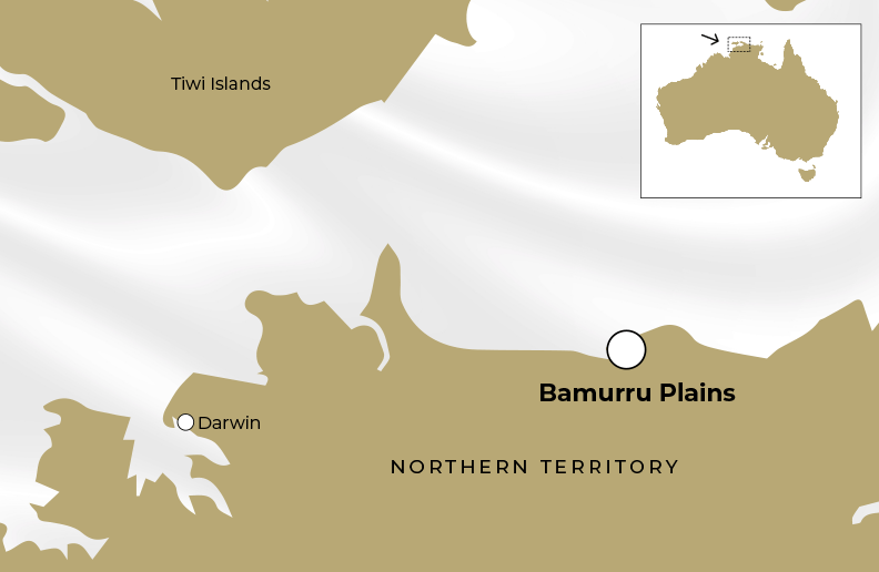 Bamurru plains