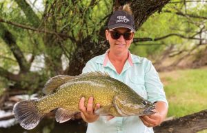 Murray Cod Australia