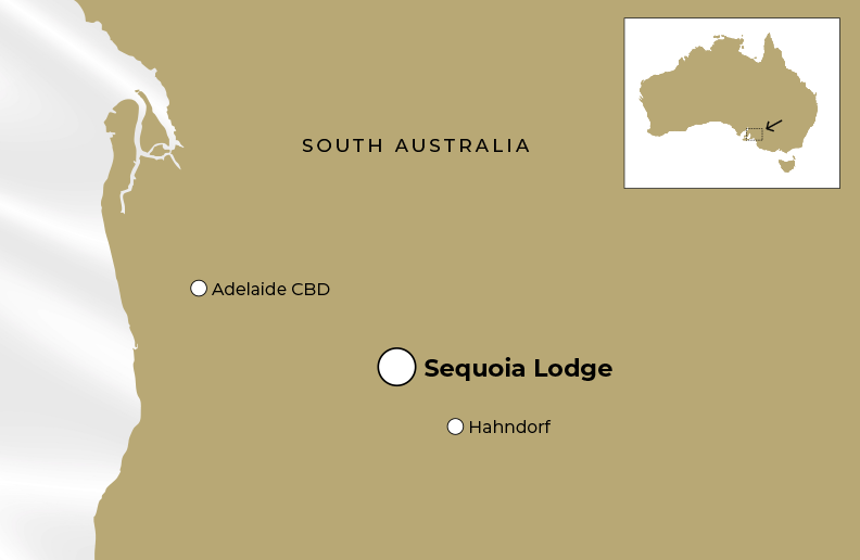 Sequoia