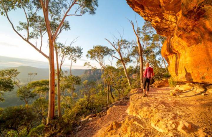 hiking Blue Mountains