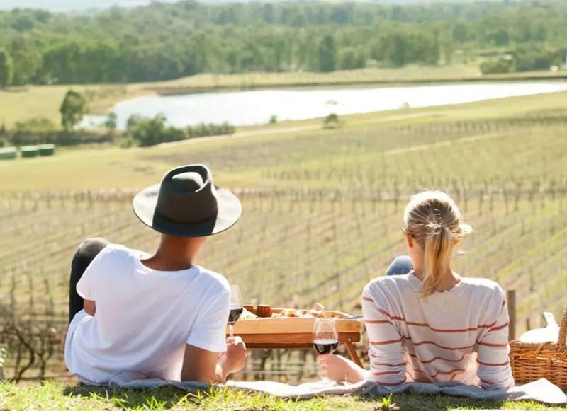 hunter-valley-vine-tour