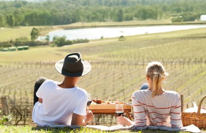 hunter valley vinyard tour