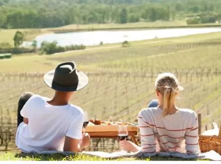 Hunter Valley Vine Tour