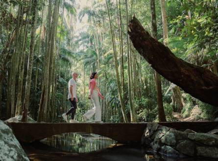 Kiff and Culture Tour