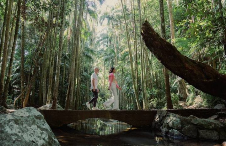 Kiff and Culture, Best of Brisbane Tour