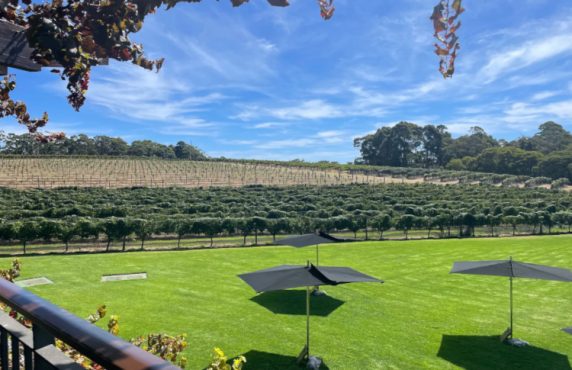 Winery - Megan's customer review